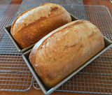 Starr Williams, Southern Starr Bakery review photo