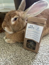 Nutmeg the Bunny review photo