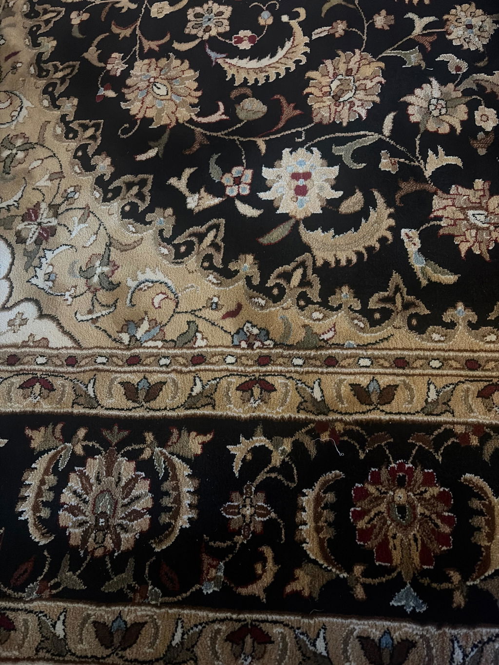 Aviva Black Traditional Rug in a customer review