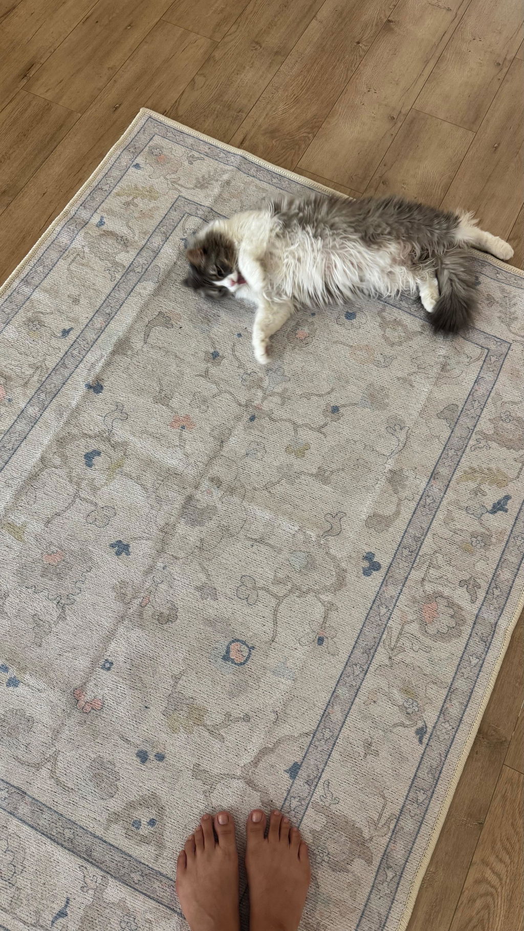 Konya Updated Traditional Oriental Pastel Rug in a customer review