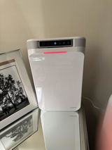 Ilene review photo