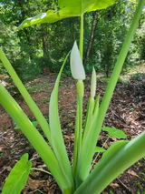 James M. review photo