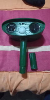 giorgina review photo