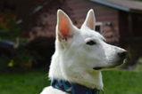 Kyleigh review photo