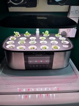R.B. review photo