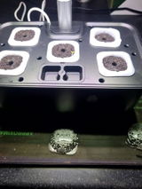 S.D. review photo