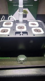 S.D. review photo