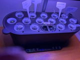 M.F. review photo