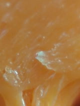 McFlyOrPie review photo