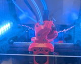 Mario review photo
