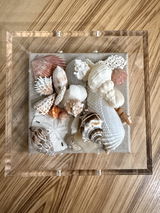 Debra B. review photo