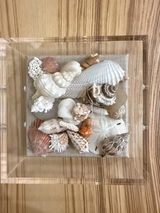 Debra B. review photo