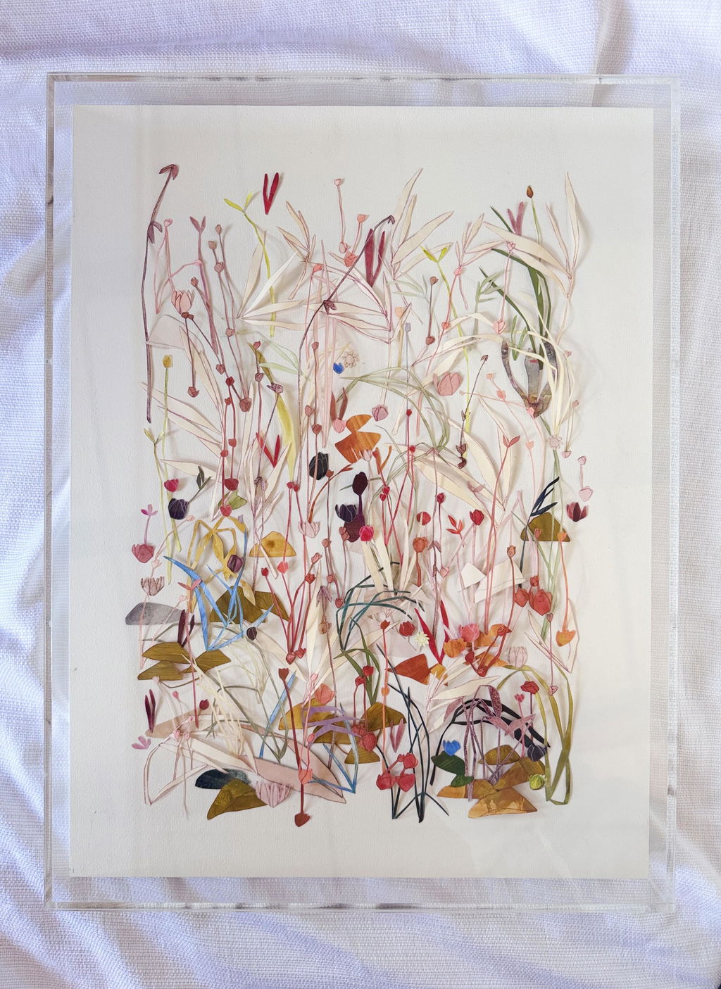 Sample Sale Backless Shadowboxes
