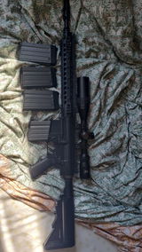 T.C. review photo