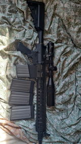 T.C. review photo