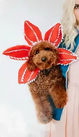 Bought via our supplier review photo