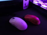 berkay t. review photo