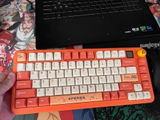 Jay review photo