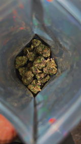 Oscar Uranga review photo
