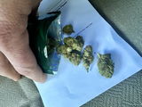 Anonymous review photo
