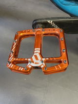 Freddie Knight review photo