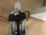 Rasmus review photo