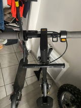 Rasmus review photo