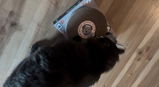 Avamariethegoat review photo