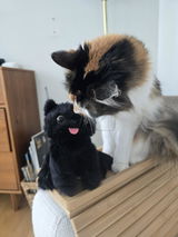 Emily Andrews review photo
