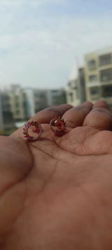 Rajesh Nair review photo