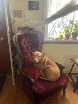 Frankie's Mom review photo