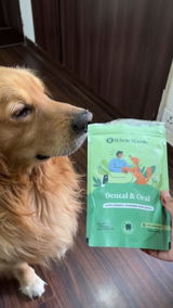 Thebarksidecouple review photo