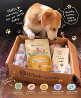 Mikuthebeagle review photo