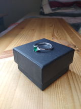 Gary Maynard, review photo