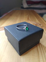 Gary Maynard, review photo