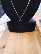Gary Maynard, review photo