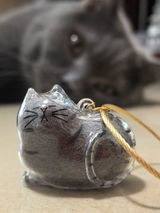 Hideto Y. review photo
