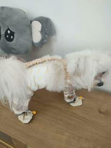 Misaki F. review photo