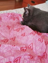 なおき review photo