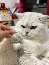 ミサエ review photo