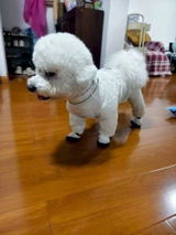 あきら review photo