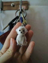 Yuki S. review photo