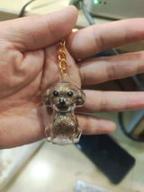 Sota S. review photo