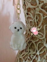 美咲 小. review photo