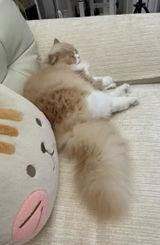 小坂 命 review photo