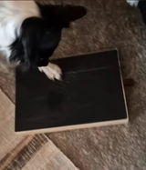 りんごと犬 review photo
