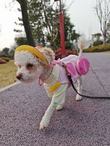ひなこ review photo