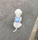 くるみの飼い主 review photo