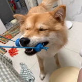 佐藤 健太 review photo