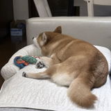 田村 健二 review photo